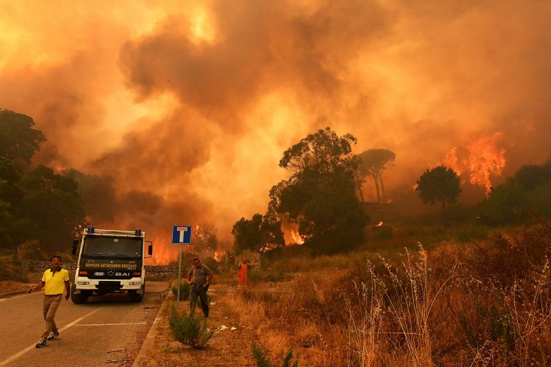 Пожары в Италии: спасатели пытаются подсчитать количество погибших