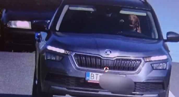 Собака за рулем застала словацких полицейских врасплох. Они не приняли объяснения водителя.